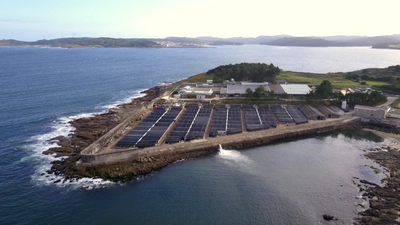 Stolt Sea Farm aquaculture farms