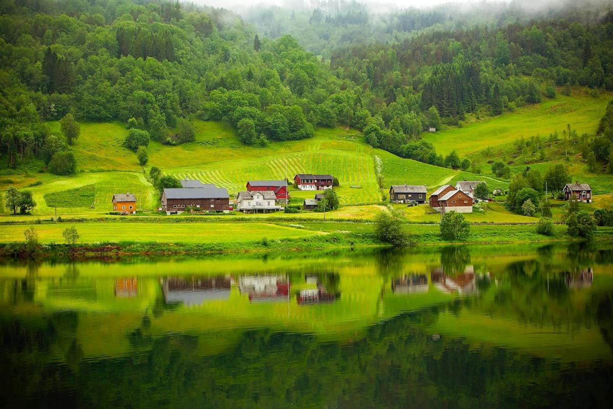 white and brown house on grass field near body of water