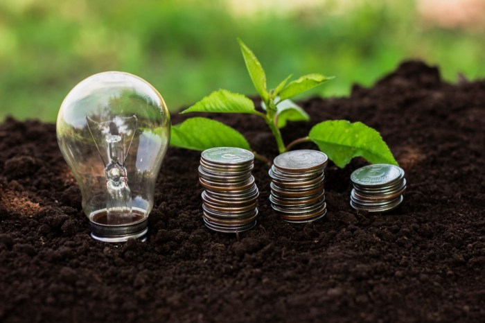 Green financing as a tool to boost sustainability