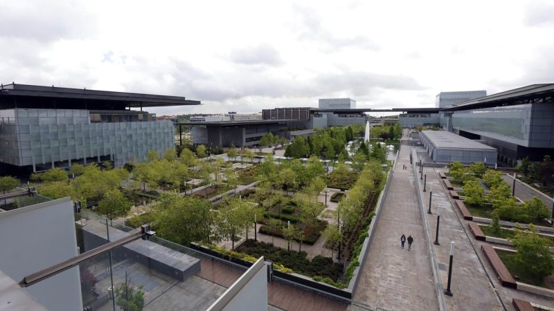 Descubre más sobre la biodiversidad en Distrito Telefónica en la plaza Oeste. No te lo pierdas acompañándonos en este paseo.