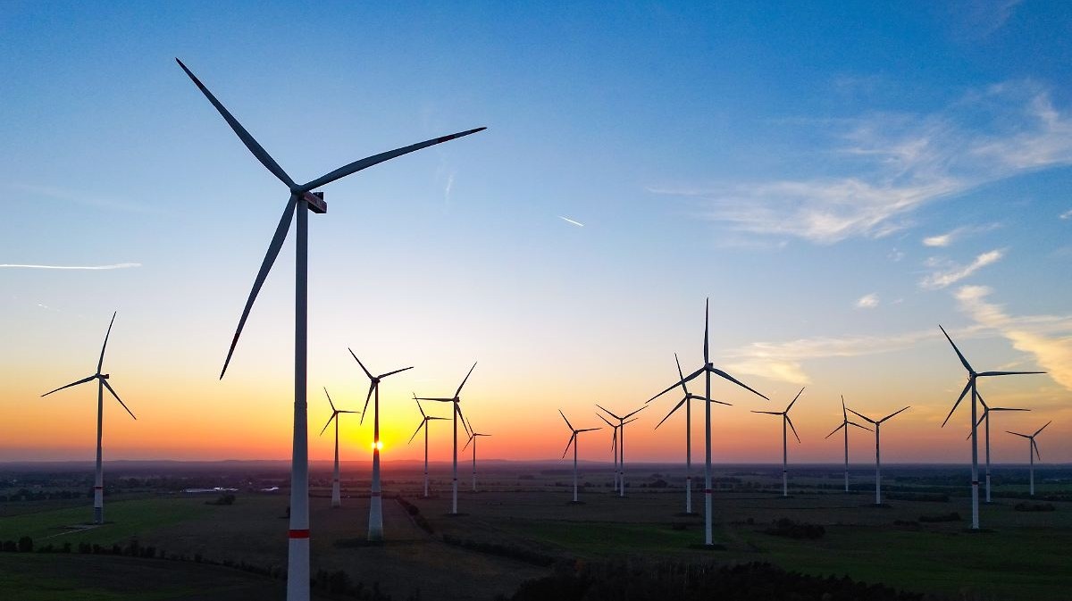 Telefónica y OCDE - aliados en la transición verde