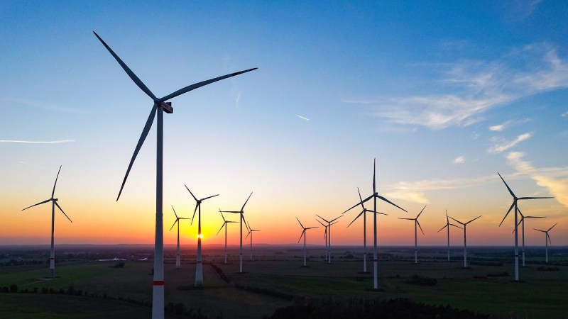 Telefónica y OCDE - aliados en la transición verde